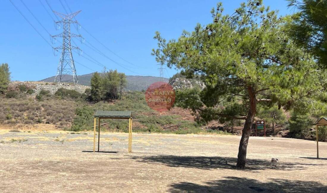 Serinyol’da Ağaç Kesimi Yeniden Başladı: Tepkiler Büyüyor Antakya’nın Serinyol Mahallesi Yıldırım Mevkii’nde, izinsiz ağaç kesimi sabah saatlerinde