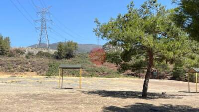 Antakya’nın Serinyol Mahallesi Yıldırım Mevkii’nde, izinsiz ağaç kesimi sabah saatlerinde