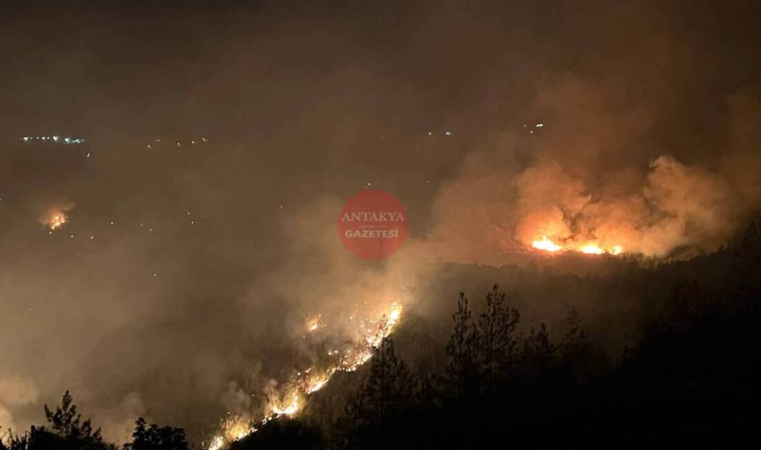 Hatay’ın Yayladağı ilçesine bağlı Kışlak mevkiinde çıkan orman yangını 4