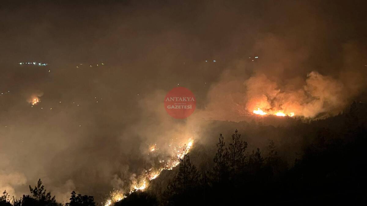 Hatay’ın Yayladağı ilçesine bağlı Kışlak mevkiinde çıkan orman yangını 4