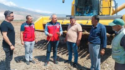 Hatay’ın bereketli topraklarında ayçiçeği hasadı sürerken, İl Tarım ve Orman