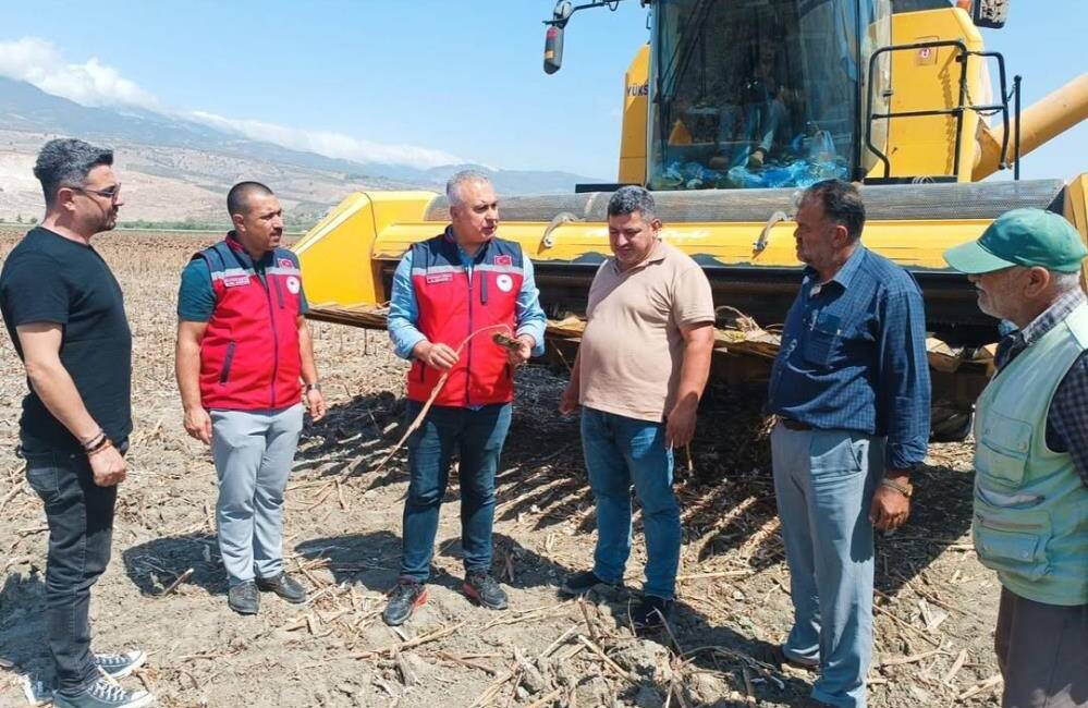 Hatay’ın bereketli topraklarında ayçiçeği hasadı sürerken, İl Tarım ve Orman