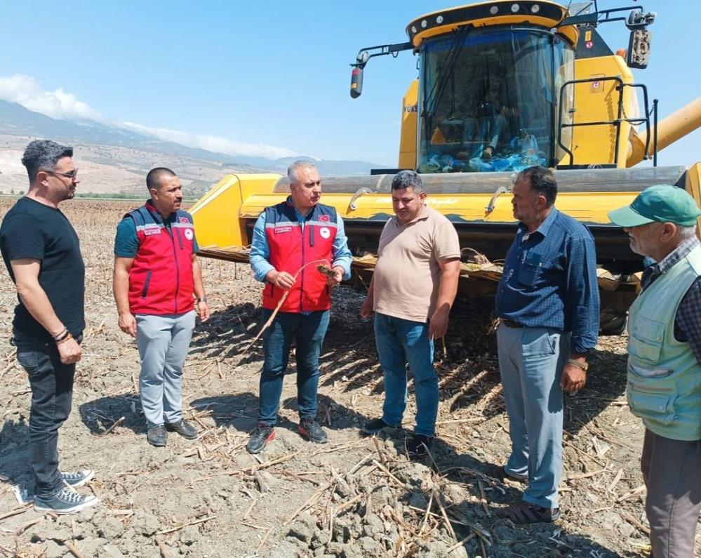 Hatay’ın bereketli topraklarında ayçiçeği hasadı sürerken, İl Tarım ve Orman