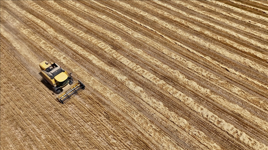 Çiftçiler Tarım Sayımına Yoğun Katılım Sağladı Türkiye genelinde temmuz ayında başlatılan tarım sayım seferberliği büyük ilgi
