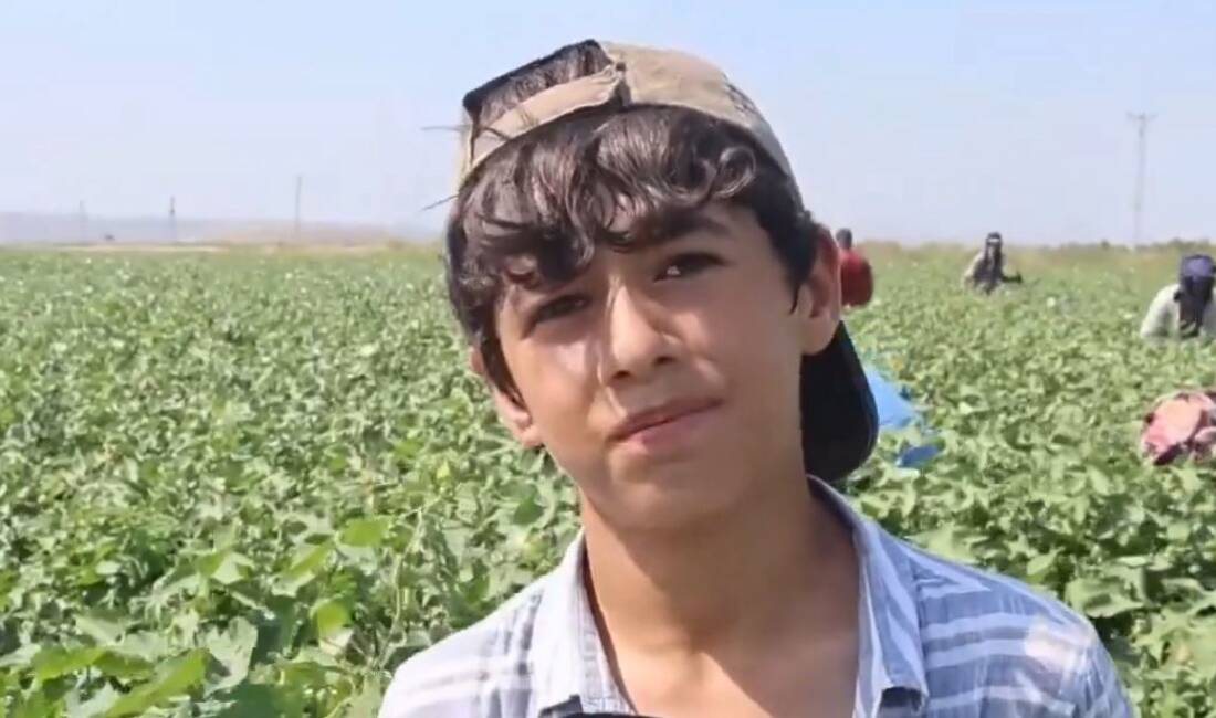 Hatay’da termometrelerin 45 dereceyi aştığı günlerde, pamuk tarlalarında çalışan tarım