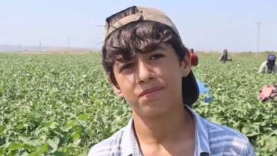 Hatay’da termometrelerin 45 dereceyi aştığı günlerde, pamuk tarlalarında çalışan tarım