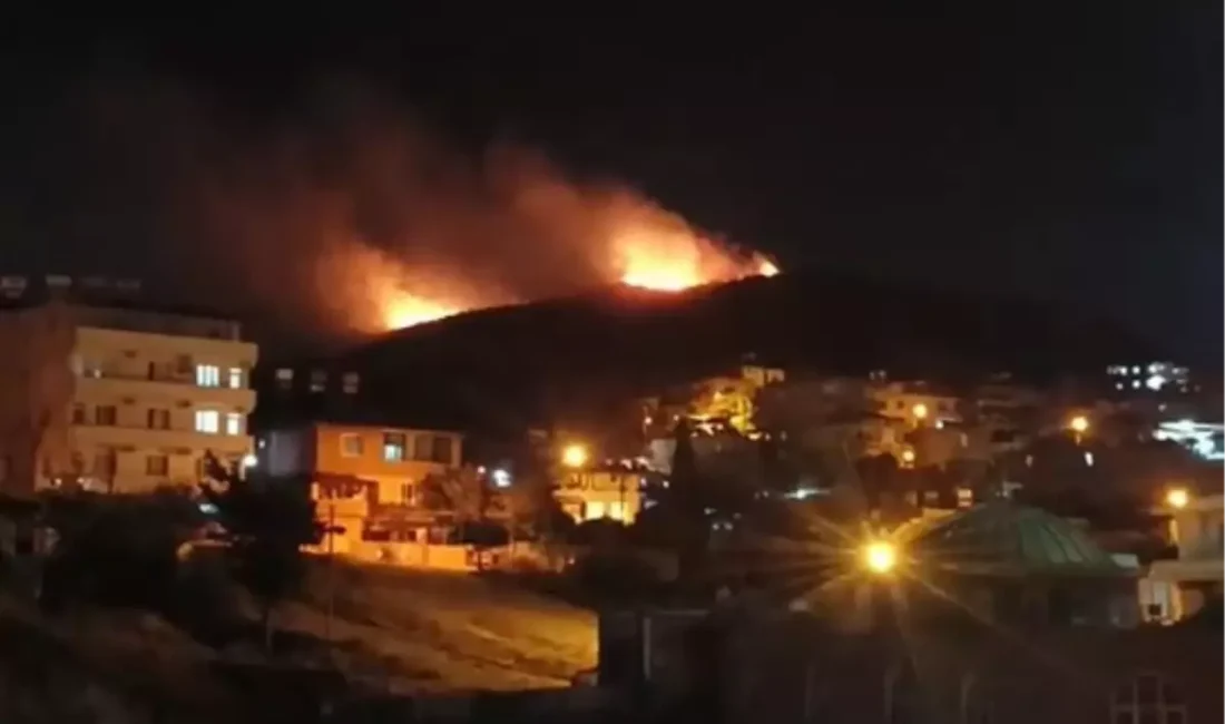 Narlıca’daki Yangın Kontrol Altında Hatay’ın Hassa ve Yayladağı ilçelerinde devam eden orman yangınlarına