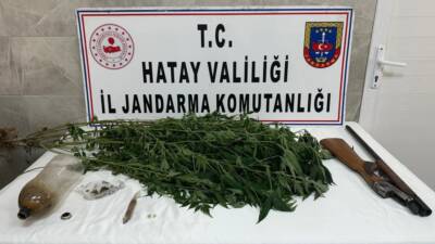Hatay’ın Payas ilçesinde jandarma ekipleri tarafından gerçekleştirilen operasyonda, bir kişinin