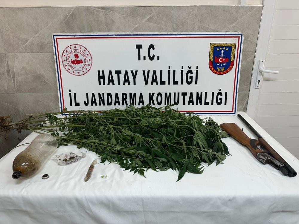 Hatay’ın Payas ilçesinde jandarma ekipleri tarafından gerçekleştirilen operasyonda, bir kişinin