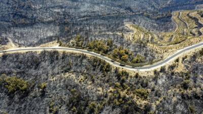 Türkiye’nin dört bir yanında art arda çıkan orman yangınları, iklim