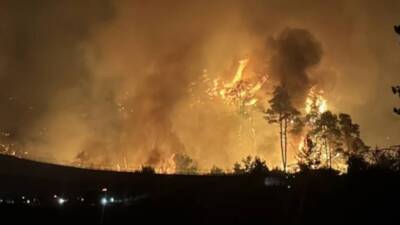 Hatay’ın Yayladağı ilçesi Çaksına Mahallesi mevkiinde, Defne ilçesi Döver Mahallesi
