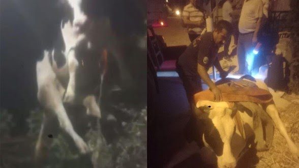 Hatay’ın Antakya ilçesine bağlı Narlıca Mahallesi’nde sulama kanalına düşen bir