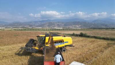Hatay’ın verimli topraklarına sahip Arsuz ilçesinde, dededen miras kalan ata
