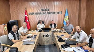 Hatay Orman Bölge Müdürlüğü, 2025 yılı kadastro ve mülkiyet çalışmaları