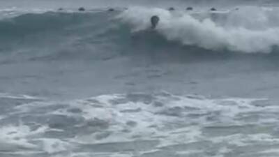 Hatay’ın Samandağ ilçesinde serinlemek amacıyla denize giren iki kız çocuğu,