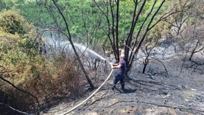 Hatay’ın Samandağ ilçesinde çıkan bahçe yangını, itfaiye ekiplerinin hızlı müdahalesiyle