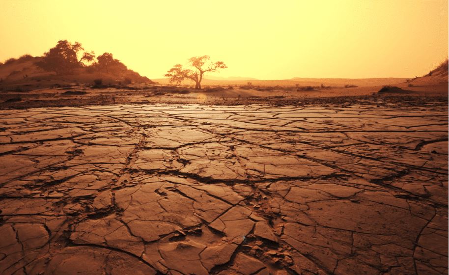 Türkiye yakında ‘su fakiri’ olabilir mi ? Uzmanlar, Türkiye’nin hızla azalan su kaynakları nedeniyle 2030 yılına