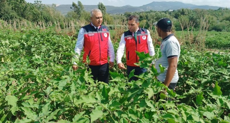 Hatay İl Tarım’dan üreticiye sahada destek Hatay Tarım ve Orman İl Müdürü Abdurrahman Türkmen, Defne ilçesinde