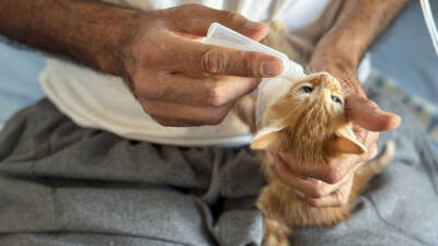 6 Şubat 2023 depremlerinin en ağır etkilediği şehirlerden biri olan