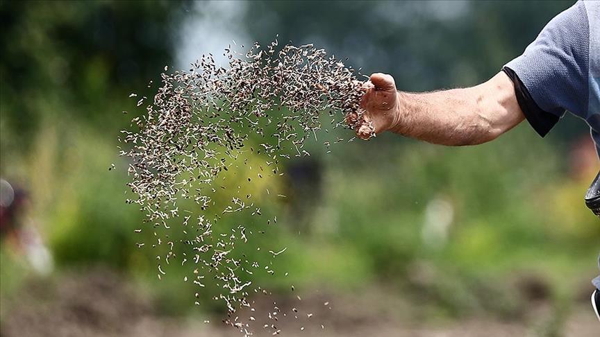 Türk Tohumculuk Sektörü İlk 5’i Hedefliyor Türkiye Tohumcular Birliği (TÜRKTOB) Yönetim Kurulu Başkanı Savaş Akcan Güler,