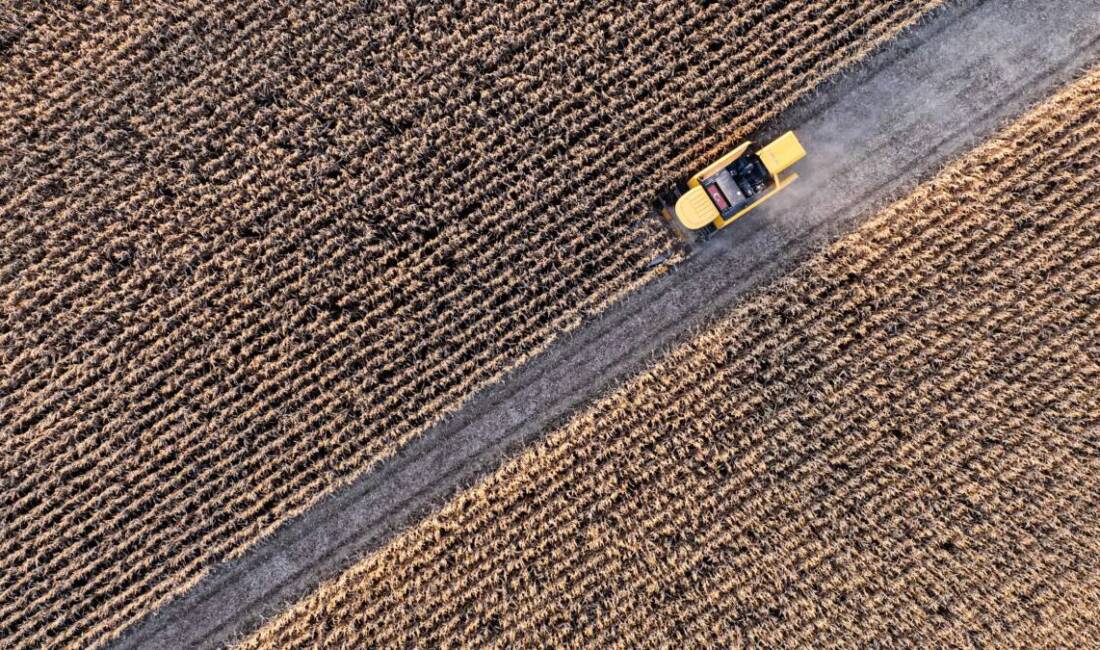 Türkiye İstatistik Kurumu (TÜİK), 2025 yılı Temmuz ayına ilişkin Tarımsal