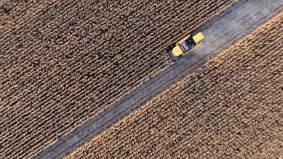 Türkiye İstatistik Kurumu (TÜİK), 2025 yılı Temmuz ayına ilişkin Tarımsal