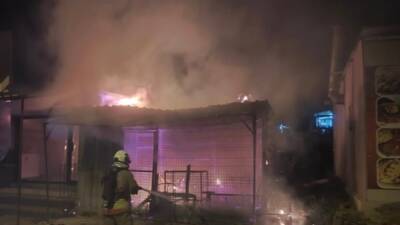 Hatay’ın merkez Antakya ilçesi Alaattin Mahallesi’nde bulunan bir lokantada, henüz