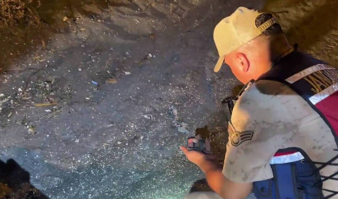 Hatay’ın Samandağ ilçesinde, nesli tehlike altındaki deniz kaplumbağası türlerinden caretta