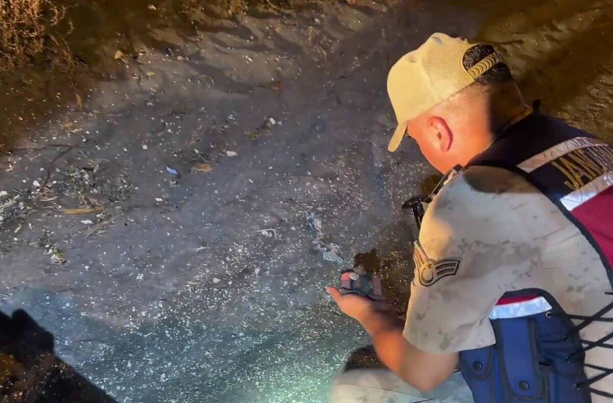 Hatay’ın Samandağ ilçesinde, nesli tehlike altındaki deniz kaplumbağası türlerinden caretta