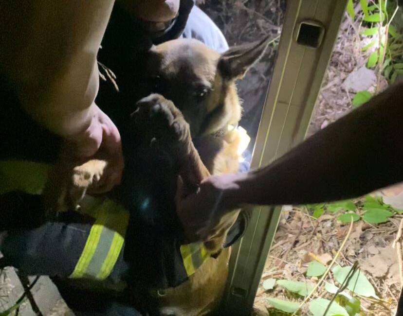 Kuyuda mahsur kalan köpeğe itfaiye yetişti Hatay’ın Defne ilçesinde kuyuya düşen bir köpek, çevredekilerin ihbarı üzerine