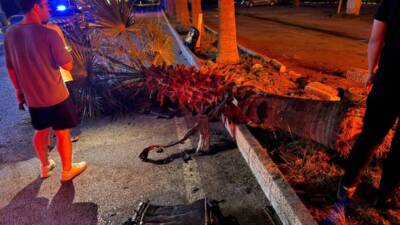   Hatay’ın Arsuz ilçesinde meydana gelen trafik kazasında üç kişi