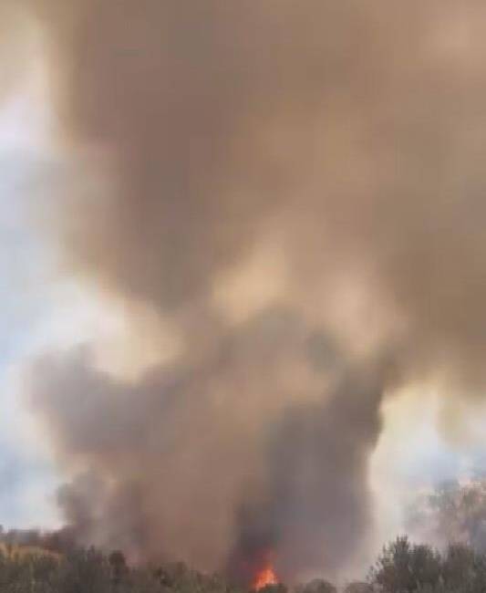 Hatay’ın Altınözü ilçesinde çıkan yangın, ekiplerin hızlı müdahalesi sayesinde kısa