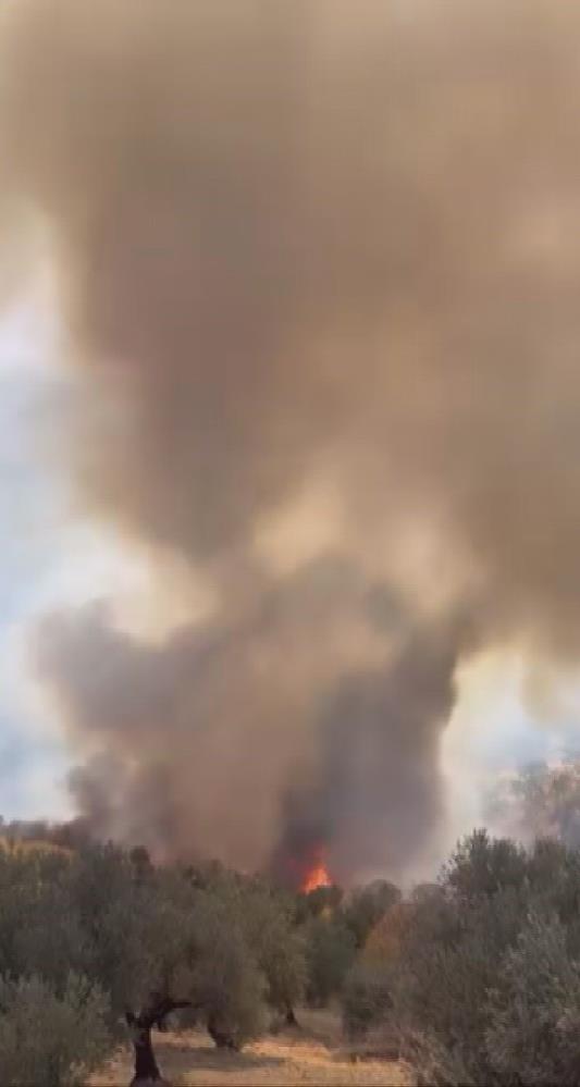 Hatay’ın Altınözü ilçesinde çıkan yangın, ekiplerin hızlı müdahalesi sayesinde kısa