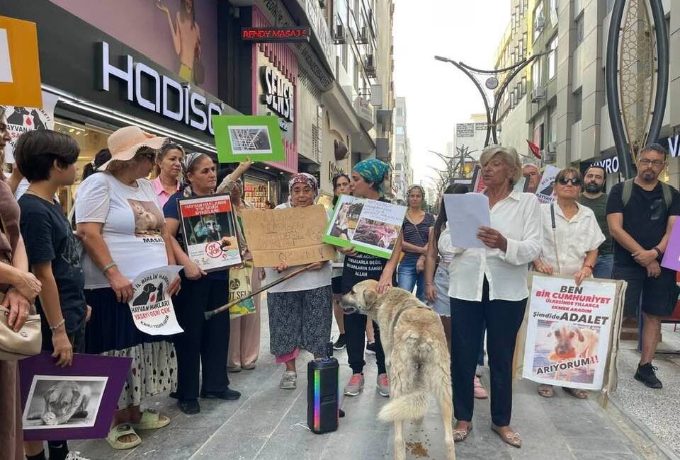 İskenderun’da bir grup hayvan dostu, ilçe merkezinde yaptıkları basın açıklamasıyla