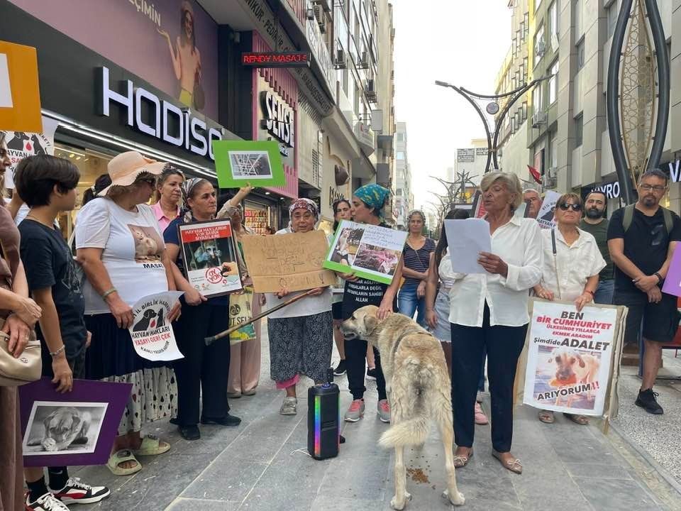 İskenderun’da bir grup hayvan dostu, ilçe merkezinde yaptıkları basın açıklamasıyla