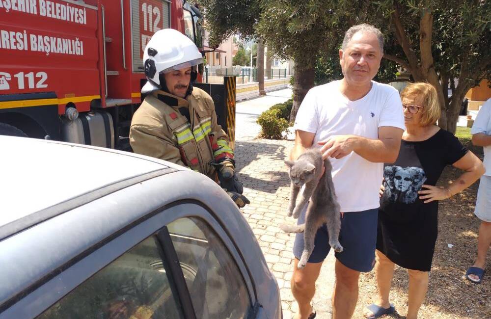 Hatay Arsuz’da bir palmiye ağacına çıkan kedi mahsur kaldı. İtfaiye