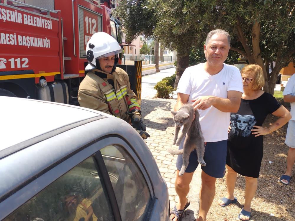 Hatay Arsuz’da bir palmiye ağacına çıkan kedi mahsur kaldı. İtfaiye