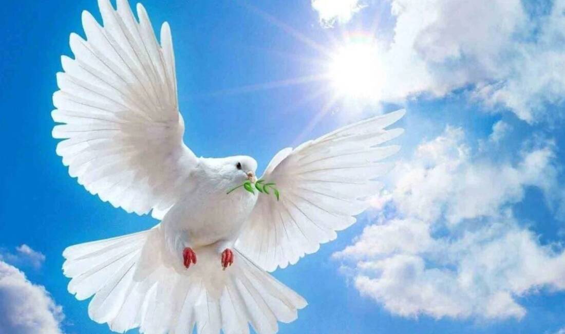 1 Eylül, savaşların yol açtığı yıkımı hatırlamak ve barışın önemini