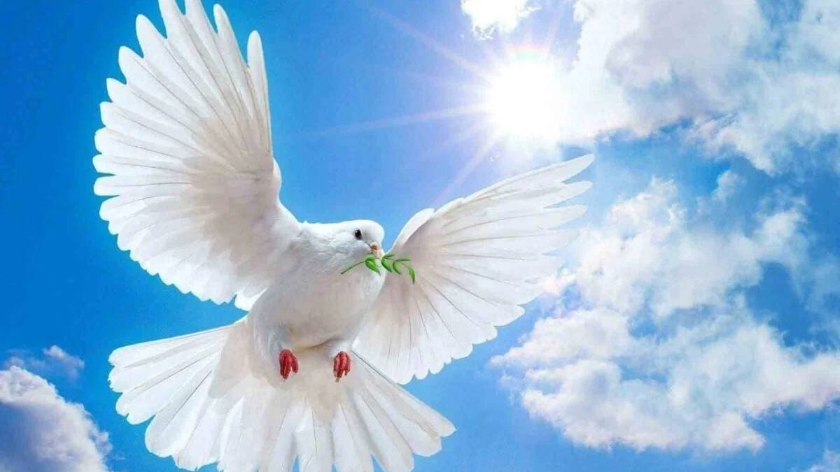 1 Eylül, savaşların yol açtığı yıkımı hatırlamak ve barışın önemini