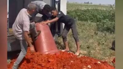 Hatay’ın Antakya ilçesinde Tarım ve Orman Bakanlığı ekipleri tarafından gerçekleştirilen