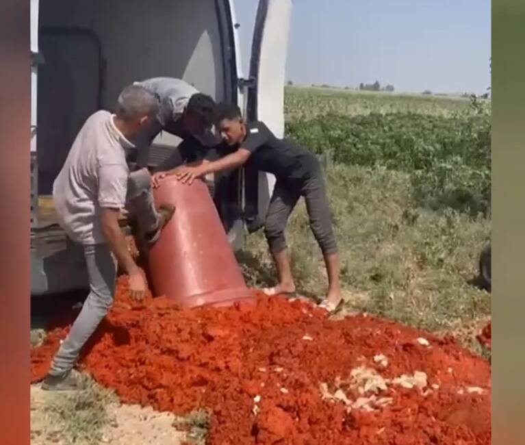 Gıda Denetiminde Skandal: Hatay’da Katkılı Salça Üretimi Hatay’ın Antakya ilçesinde Tarım ve Orman Bakanlığı ekipleri tarafından gerçekleştirilen