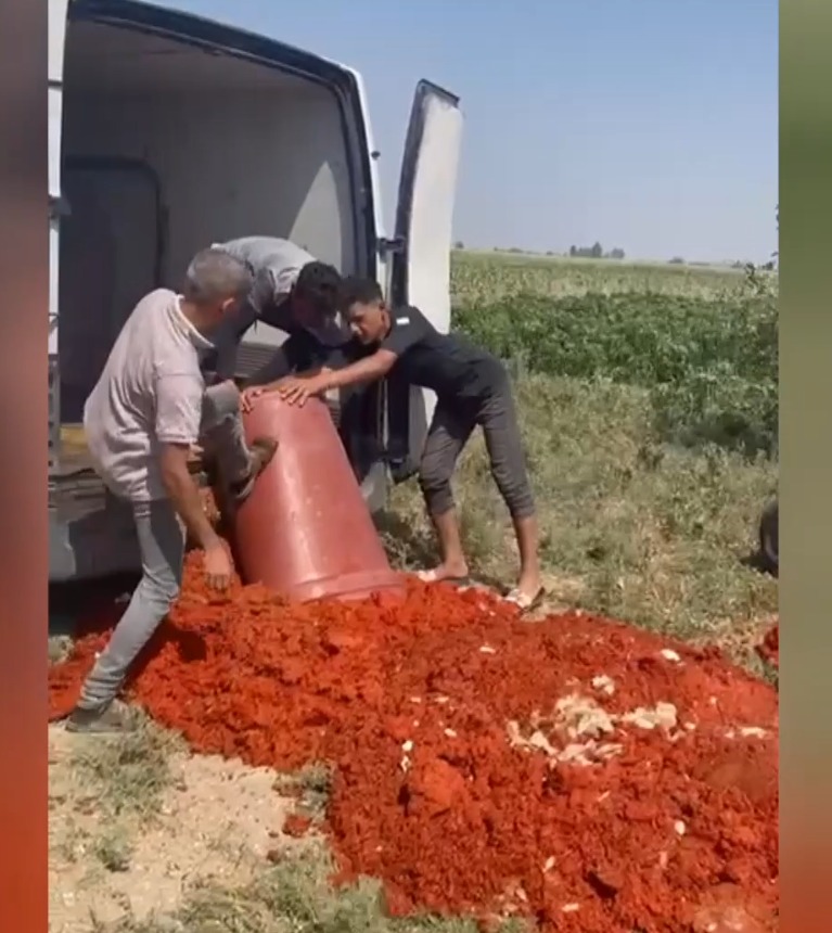 Hatay’ın Antakya ilçesinde Tarım ve Orman Bakanlığı ekipleri tarafından gerçekleştirilen