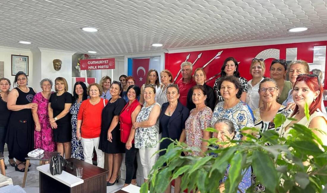 Cumhuriyet Halk Partisi (CHP) Hatay Milletvekili Nermin Yıldırım Kara, CHP