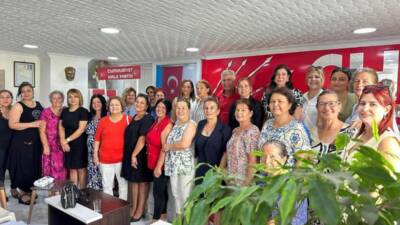 Cumhuriyet Halk Partisi (CHP) Hatay Milletvekili Nermin Yıldırım Kara, CHP