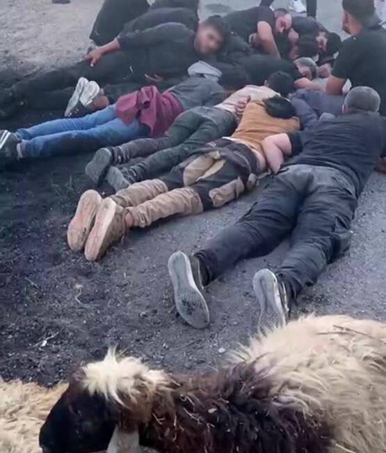 Antakya Madenboyu Mahallesi’nde meydana gelen kazada, koyun sürüsüne çarpan araç