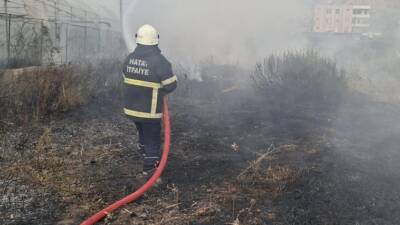 Hatay’ın Samandağ ilçesinde bir bahçede çıkan yangın, itfaiye ekiplerinin hızlı
