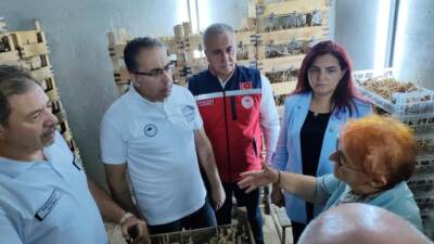 Hatay Tarım ve Orman İl Müdürlüğü, bitki koruma ilaçlarından kaynaklanan