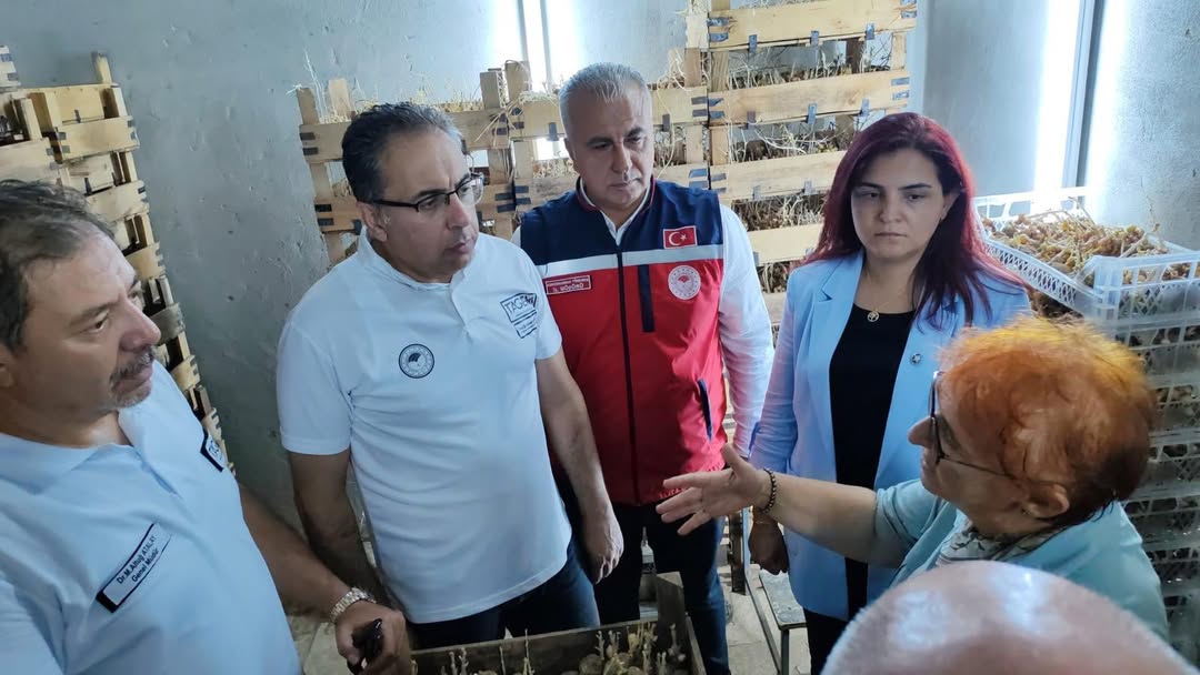 Hatay Tarım ve Orman İl Müdürlüğü, bitki koruma ilaçlarından kaynaklanan