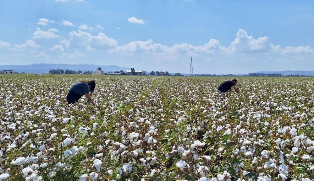 Hatay Tarım ve Orman Müdürlüğü ekipleri, kentte tarımsal üretimin kalitesini