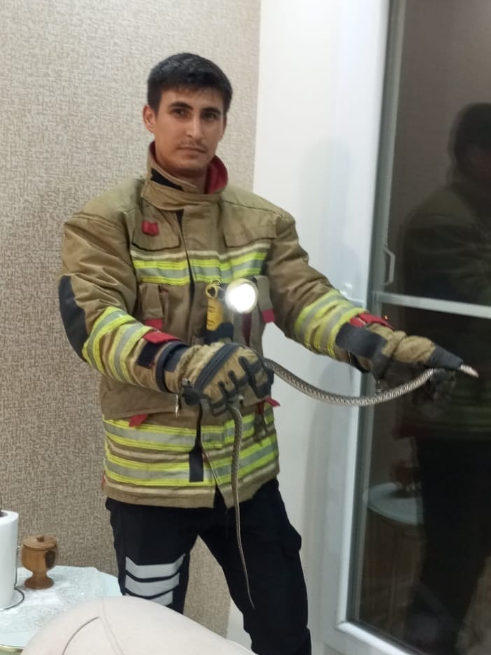 Hatay’da artan hava sıcaklıkları, sürüngenlerin insan yaşam alanlarına daha sık